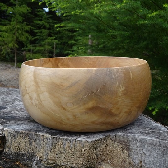 skov_studio_2_.jpg