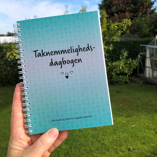 taknemmelighedsdagbogen_himmel.jpg