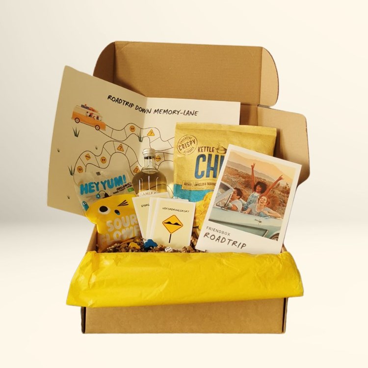 The Friendship Project