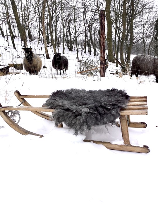 vinter_vegetarskind_lene_frantzen_zigzign.jpeg